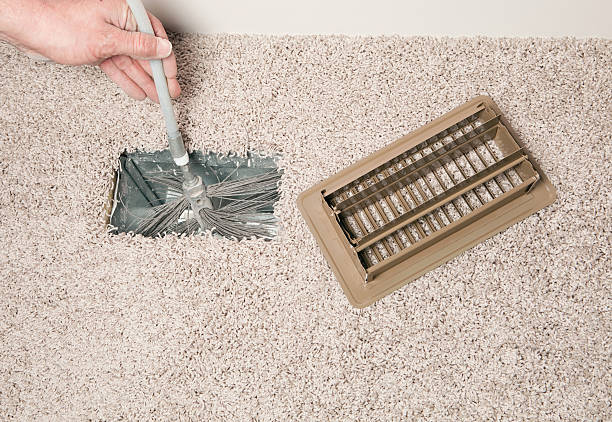 Best Air Duct Mold Removal  in Shenandoah Junction, WV