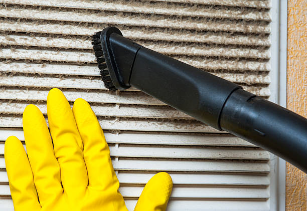 Air Duct Mold Removal in Shenandoah Junction, WV